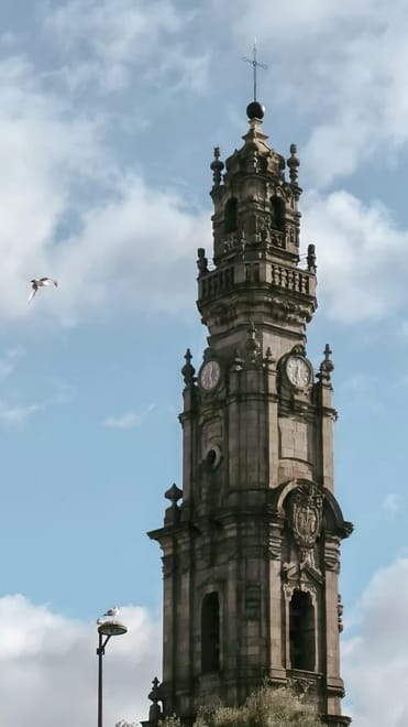 Porto Masterclass: Guided City Tour with Traditional Lunch 4