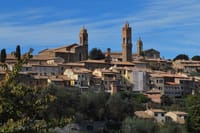 Siena Private Walking Tour With A Professional Guide 2