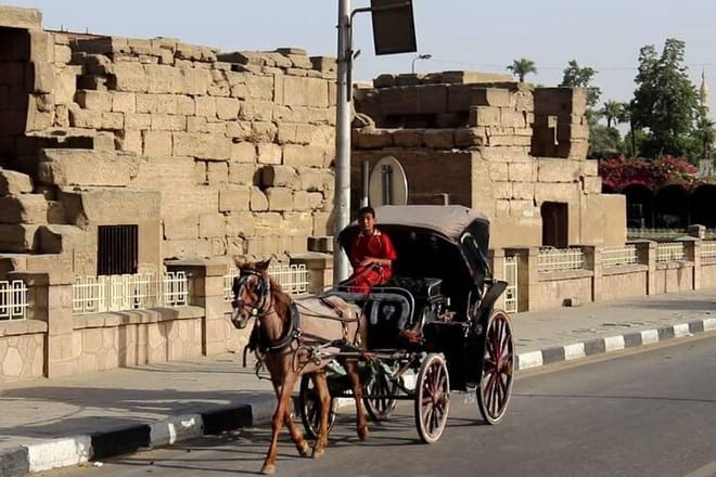 Private City Tour One Hour By Horse Carriage &amp; 1 hour River Nile boat tour-Luxor
