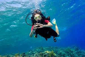 Scuba Diving Full Day Boat Trip for beginners With Lunch & Transfer – Hurghada 