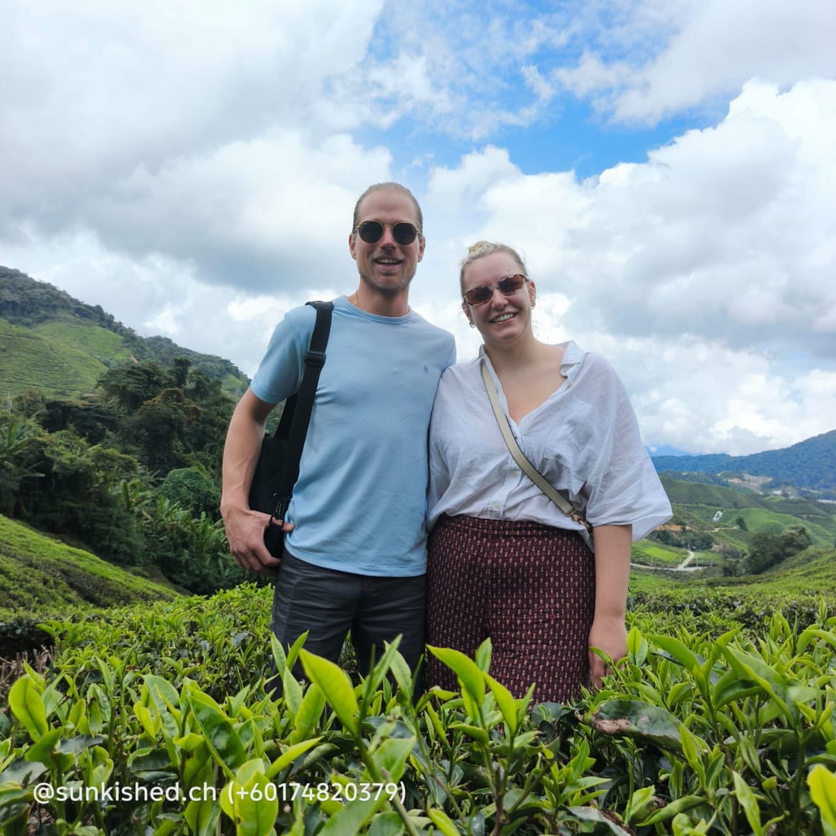 Cameron Highlands Day Tour from Ipoh with lavender garden and tea plantation