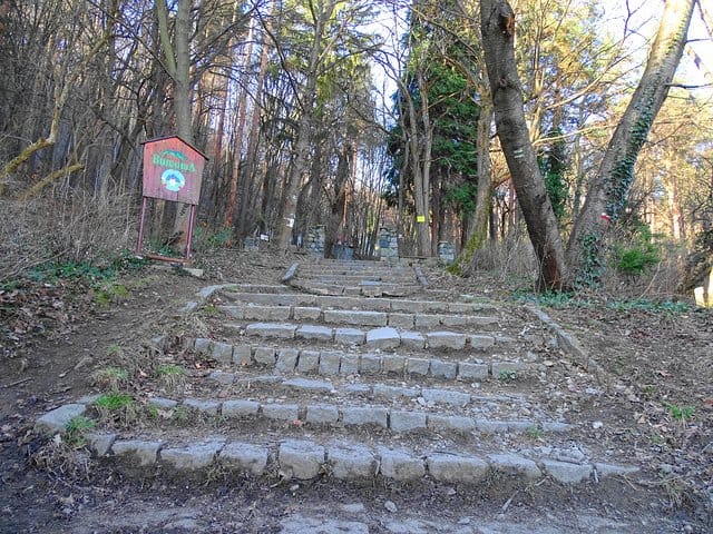 Mt. Vitosha and Boyana Waterfall Hiking Tour from Sofia 6