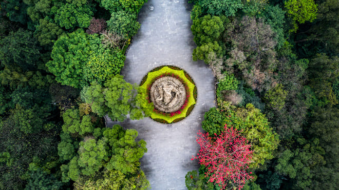 Private Guangzhou Lay Over Tour with 9 Options 4