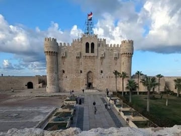 Alexandria Private tour from Cairo-10%to stray animals of Egypt