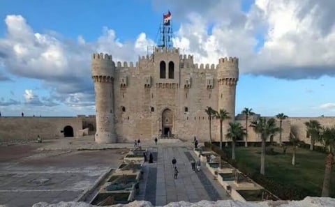 Alexandria Private tour from Cairo-10%to stray animals of Egypt