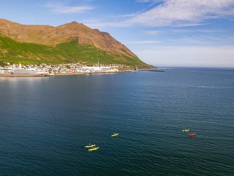Guided kayak tour in Siglufjörður / Siglufjordur., photo 5