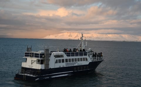 Solar Eclipse Viewing Cruise from Reykjavík Harbor