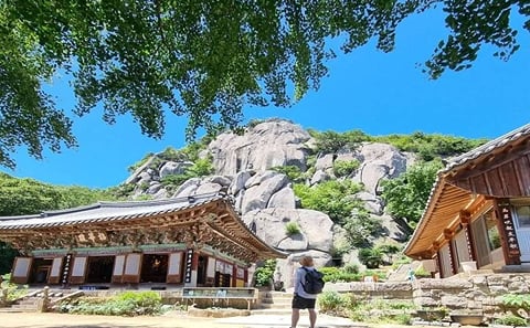 Private Hiking Tour in Busan: Explore Nature and Culture