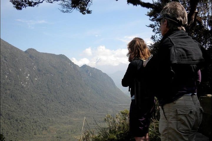 you can also enjoy walking in the forest