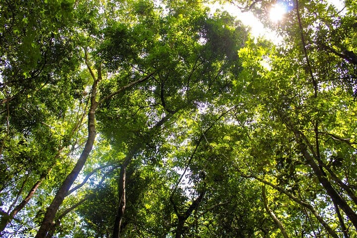 Cu Chi Tunnels Half-Day Tour: Vietnam War Underground Network