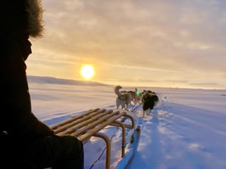 Dog Sledding Near Reykjavik , photo 13