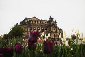 Dresden Walking Audio Tour: Semperoper, Frauenkirche, Zwinger, and many more