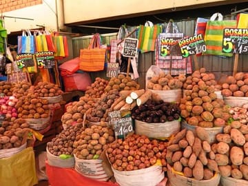Culinary Walking Tour of San Camilo Market in Arequipa
