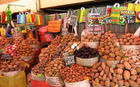 Culinary Walking Tour of San Camilo Market in Arequipa