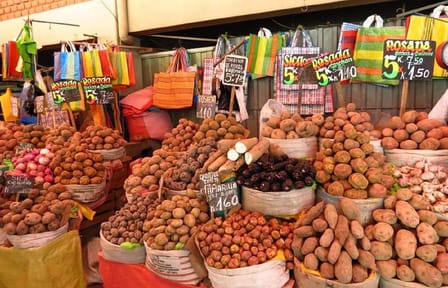 Culinary Walking Tour of San Camilo Market in Arequipa
