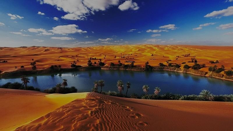 Private Adventure to Fayoum Oasis: History, Nature & Thrills