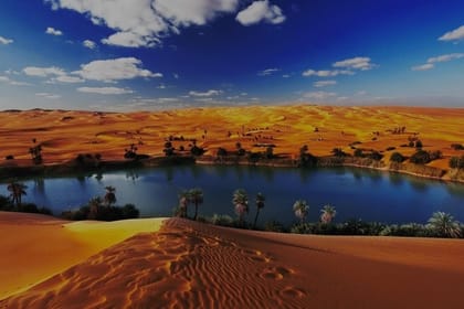 FAYOUM OASIS Private Over day