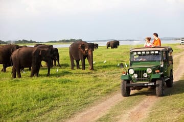 7-Day Private Cultural Tour of Sri Lanka's Heritage Sites