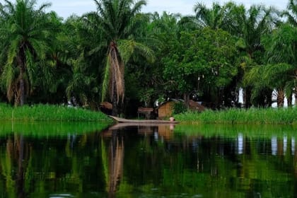 Upemba National Park Safari Expedition – Congo Basin Wetlands & Wildlife Adventure