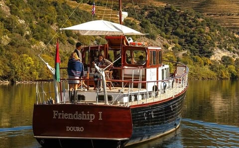 Douro Valley Tour with Winery Lunch and Private River Cruise