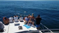 Boat trip in Agadir 4