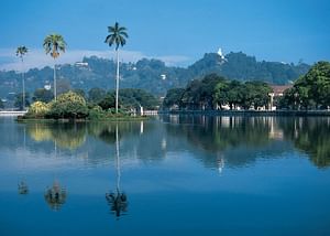 03 Day Nature Tour From Kandy ( Without Accommodation) 