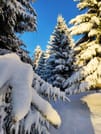 Private 2-day Trip with Snowshoes 5