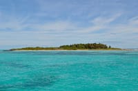 Paradise Islands Tour: Isla Contoy and Isla Mujeres 4