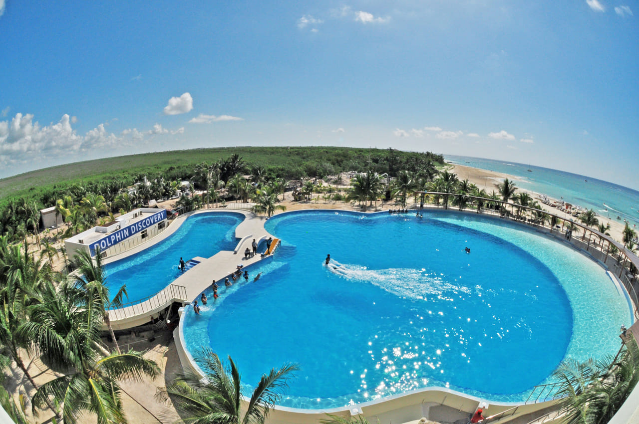 Playa del Carmen Maroma - Dolphin Royal Connection 4
