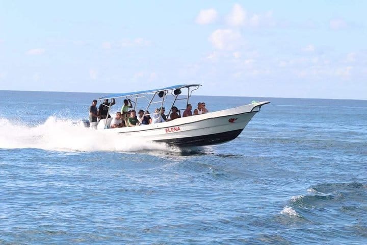 5 tours in 1 (Eco Farm/Horseback/City Tour/Buggy/Zipline)