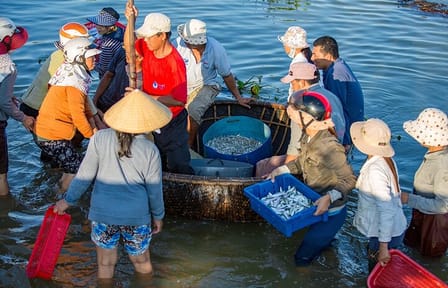Hoi An River Cruise and Village Tour from Duy Hai