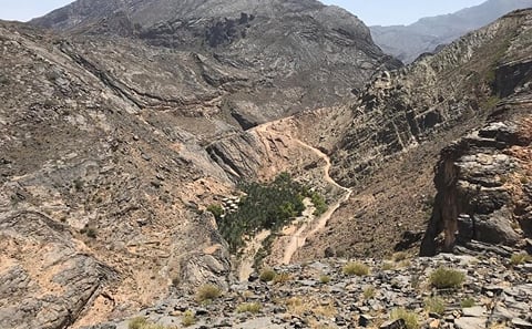 4-Day Cultural and Adventure Tour in Oman’s Al Hadd and Al Hamra