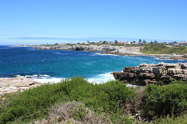 Hermanus tour. From Cape Town. Guided