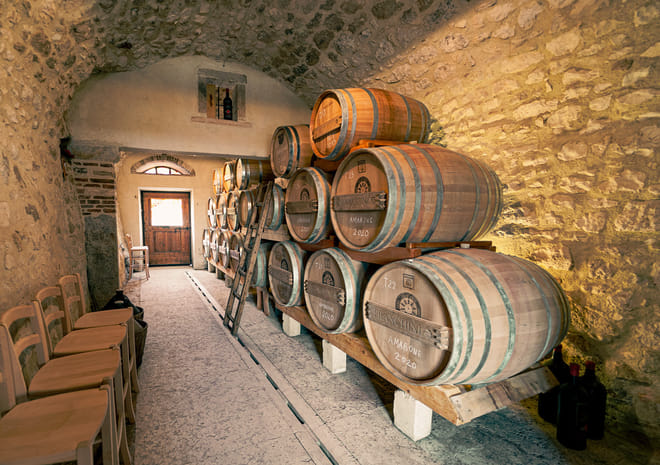 Wine tasting in Valpolicella Classica: the cradle of Amarone photo 4