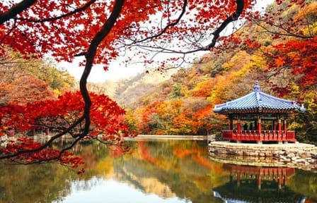 Autumn 10 days Jeonju&Mt.Naejangsan&Mt.Seorak&Mungyeong&Jeju&Busan on Early Nov
