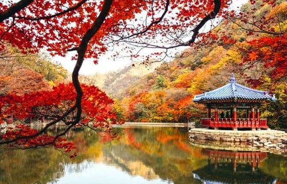 Autumn 10 days Jeonju&Mt.Naejangsan&Mt.Seorak&Mungyeong&Jeju&Busan on Early Nov
