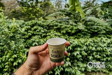 Poás Volcano and Coffee Tour with Tasting and La Paz Falls