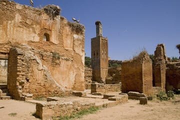 Private Full-Day Cultural Tour of Rabat from Casablanca
