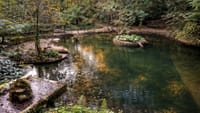Private Coimbra & Buçaco Tour with Forest Walk & Palace 3
