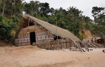 5-Day Amazon Jungle Adventure Tour in Iranduba and Manaus