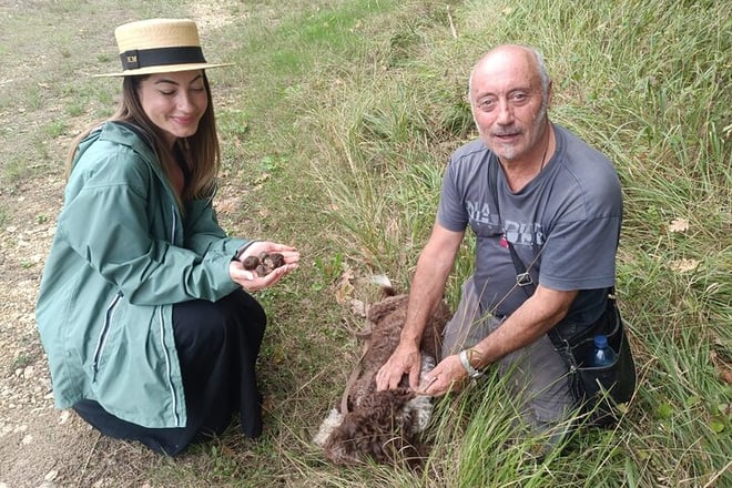 Truffle hunting experience with lunch and Chianti wine tasting - Photo 2