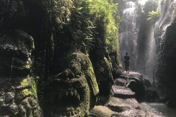 Purification Ritual at Beji Griya Waterfall in Ubud