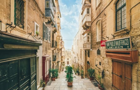 Private Guided Walking Tour of Valletta's Historic Sites