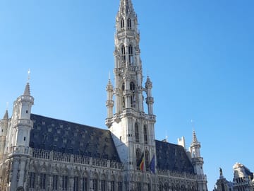 Small-Group Day Tour of Brussels from Cologne
