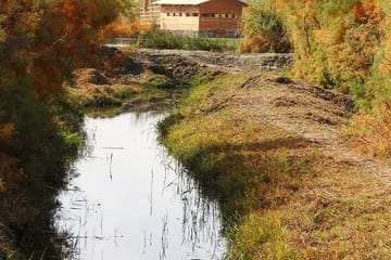 Private Tour Desert Castles Eastern Jordan with Azraq Wetland from Dead Sea