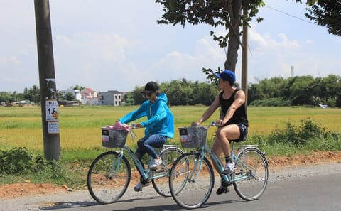 Cultural Tour of Ho Chi Minh City, Da Nang, and Hoi An