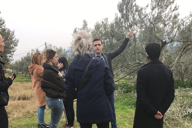 Corinth & Olive Oil Tasting Private Tour from Athens 9