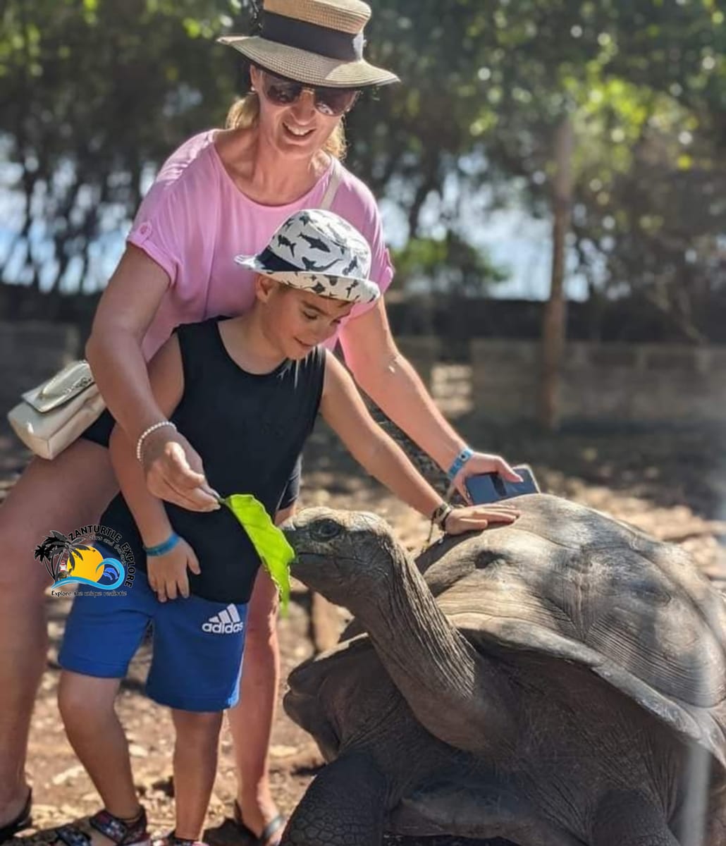 Mnemba Dolphins with Snorkel Tour From Kendwa/Nungwi