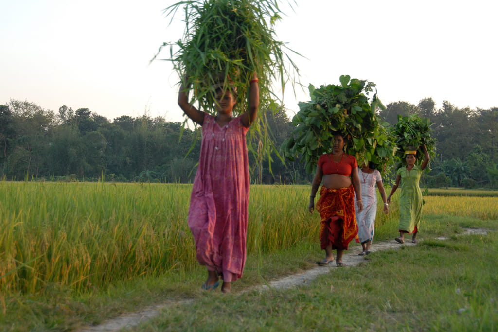 19 Days Mera Peak Climbing & Expedition – One Life-Changing Himalayan Adventure