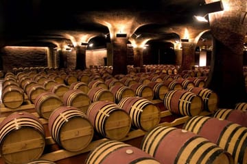 Private Half Day Wine Tour at Concha y Toro in Pirque